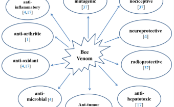 Včelí jed: Od jedu k lieku